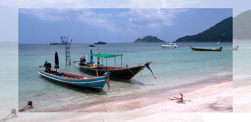 Longtail boats at Sairee Beach, Koh Tao